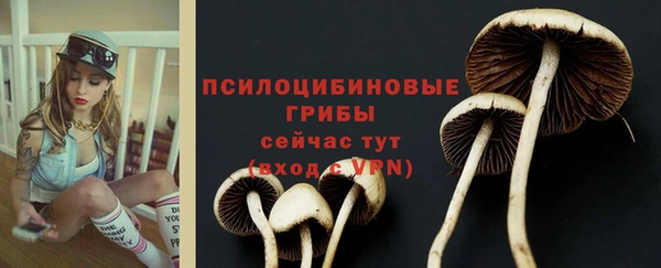 шишки Гусь-Хрустальный