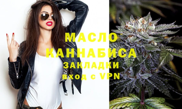 индика Армянск