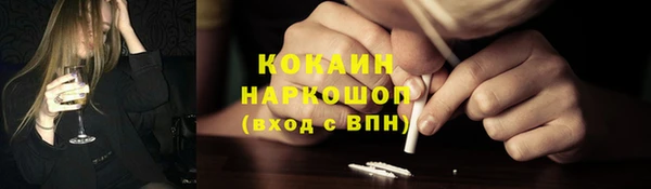 индика Армянск