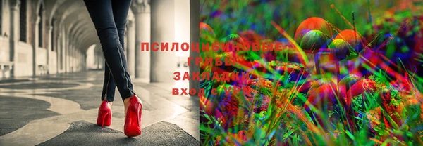 индика Армянск