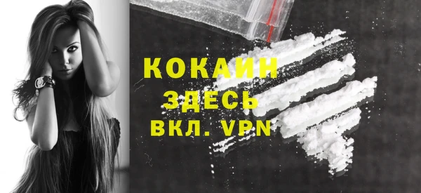 индика Армянск